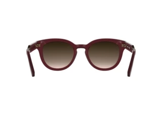 Rückansicht Lacoste L6070S (601)