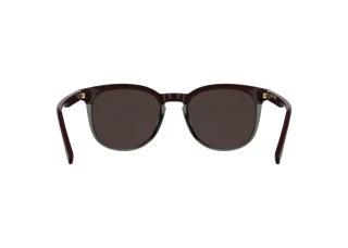Rückansicht Lacoste L6073S (601)