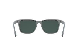 Vue arrière Lacoste L6077S (035)