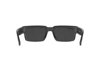 Vue arrière Lacoste L6082S (035)