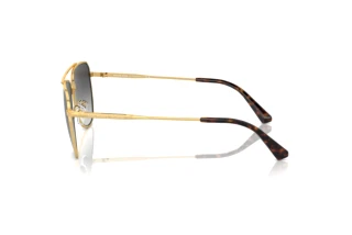 Seitenansicht Michael Kors WHISTLER (MK1155 - 18968G)