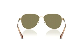 Vue arrière Michael Kors BIARRITZ (MK1160 - 10149A)