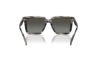 Vue arrière Michael Kors ABRUZZO (MK2217U - 396688)