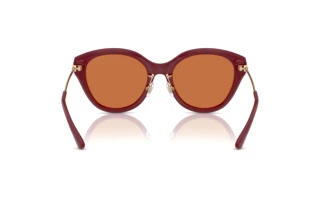 Rückansicht Michael Kors TIANJIN (MK2229D - 400473)