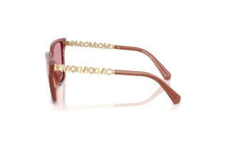 Vue latérale Michael Kors PIEDMONT (MK2263U - 403030)