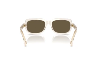 Vue arrière Moncler SUNTRAP (ME6008 - 30035A)