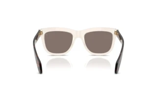 Vue arrière Moncler BRONZZ (ME6023 - 30035A)