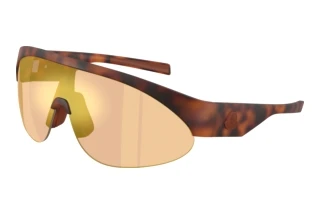 Vista frontale Moncler MYRR (ME8019U - 50267J)