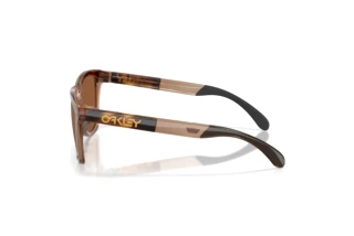 Seitenansicht Oakley FROGSKINS RANGE XL (OO9503 - 950302)