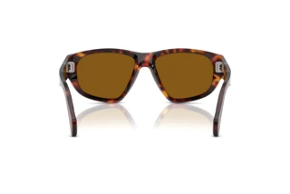 Vue arrière Persol PO0050S (24/33)