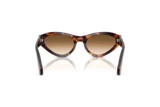 Rückansicht Persol PO0052S (24/51)