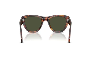 Rückansicht Persol PO0054S (24/31)