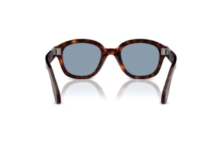 Vista posteriore Persol PO0060S (24/56)