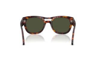Vue arrière Persol PO0064S (24/31)