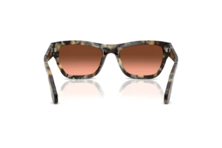 Vue arrière Persol PO0091S (1071A5)