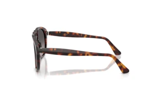 Vue latérale Persol PO0649NE (24/M3)