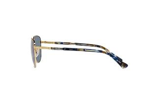 Seitenansicht Persol PO1002S (515/56)