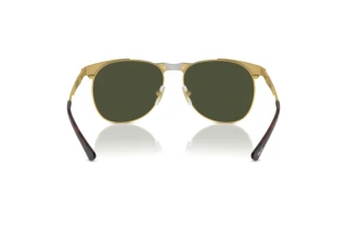 Vue arrière Persol PO1016S (515/31)