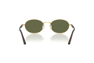 Rückansicht Persol IDA (PO1018S - 515/58)