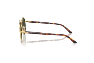 Seitenansicht Persol PO1019S (515/31)