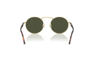 Rückansicht Persol PO1019S (515/31)