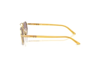 Vue latérale Persol PO1020S (112953)