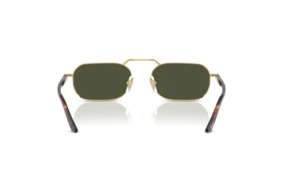 Rückansicht Persol PO1020S (515/31)