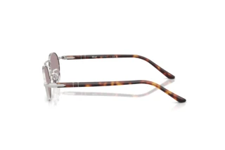 Vue latérale Persol PO1023S (102153)