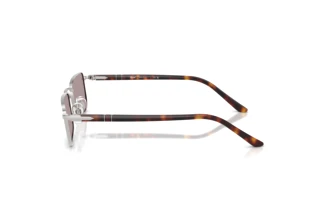 Vue latérale Persol PO1025S (102153)
