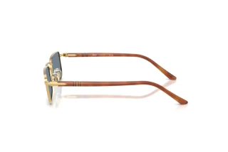 Vue latérale Persol PO1025S (113256)
