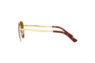 Vue latérale Persol PO2497S (114233)