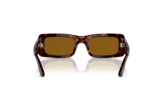 Vue arrière Persol FRANCIS (PO3332S - 24/33)