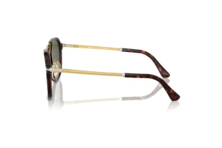 Vue latérale Persol PO3352S (24/31)