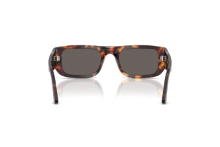 Vue arrière Persol PO3362S (24/B1)