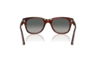 Vue arrière Persol PO3372S (122371)