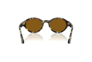 Vue arrière Persol LORIS (PO3378S - 107133)