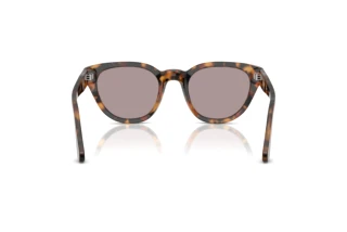 Rückansicht Persol PO3379S (105253)