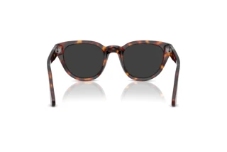 Rückansicht Persol PO3379S (24/48)