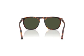 Vue arrière Persol GAE (PO3391S - 24/31)
