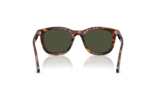 Vue arrière Persol PO3395S (24/31)