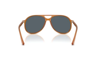 Vue arrière Persol WALTER (PO3403S - 1249R5)