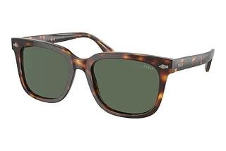 Polo PH4210 613771 Bottle GreenShiny Brown Tortoise