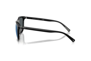 Vue latérale Polo PH4231U (500155)