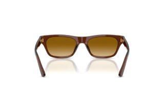 Vista posteriore Polo PH4238U (63532L)