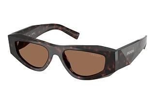 Prada PR B19S 17N06B Dark BrownRoot Tortoise
