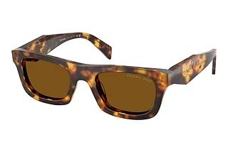 Prada PR C06S 14L10U Dark Brown PolarHoney Tortoise