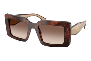 Vista frontale Prada PR D01S (00K10S)