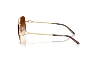 Vue latérale Ralph Lauren RL7087 (911674)