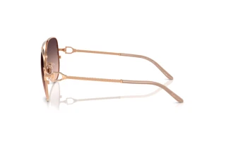 Vue latérale Ralph Lauren RL7087 (9329U8)