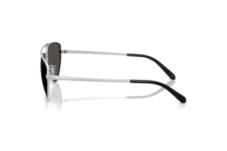 Vue latérale Ralph Lauren RL7090 (900187)